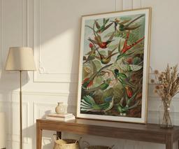 Ernst Haeckel Colorful Birds Print, Vintage Tropical Wall Art, Living Room Decor Housewarming Gift 3