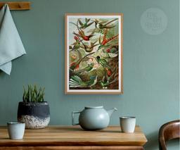 Ernst Haeckel Colorful Birds Print, Vintage Tropical Wall Art, Living Room Decor Housewarming Gift 7
