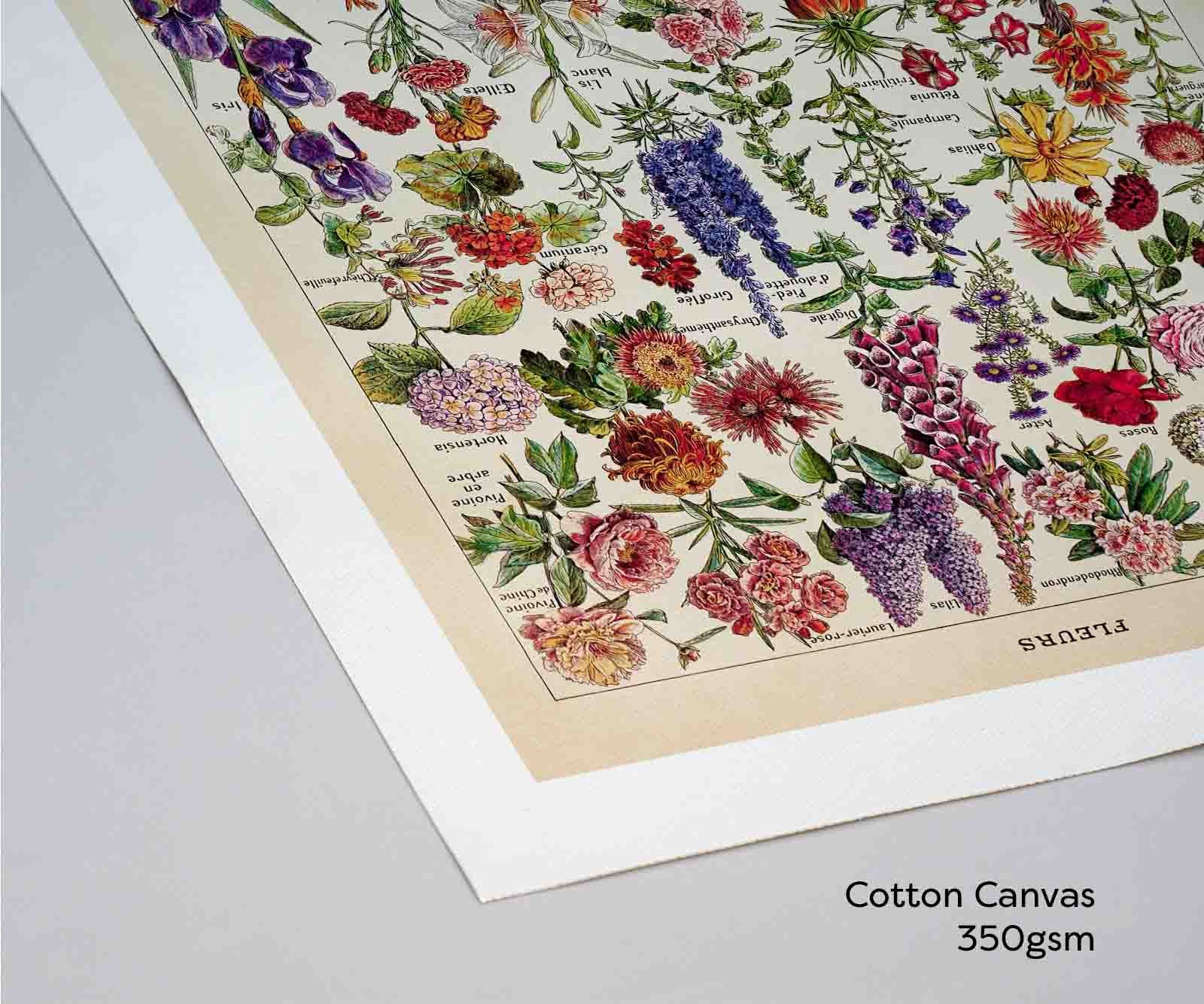 Fleurs – Vintage Botanical Art Print by Adolphe Millot - Framed Print - Image 11