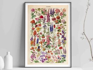 Fleurs – Vintage Botanical Art Print by Adolphe Millot - Framed Print