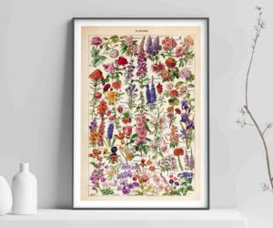 Fleurs – Vintage Botanical Art Print by Adolphe Millot - Framed Print