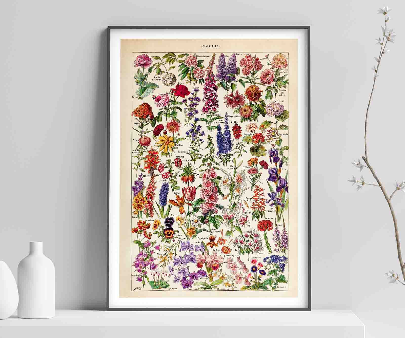 Fleurs – Vintage Botanical Art Print by Adolphe Millot - Framed Print