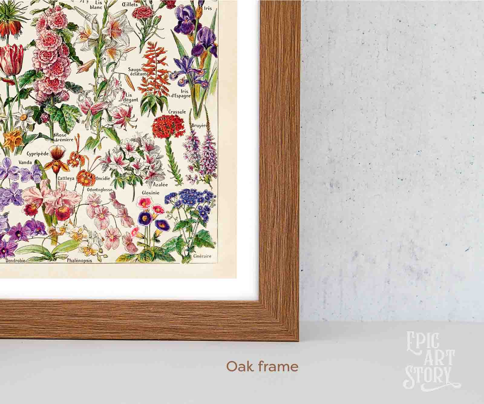 Fleurs – Vintage Botanical Art Print by Adolphe Millot - Framed Print - Image 8