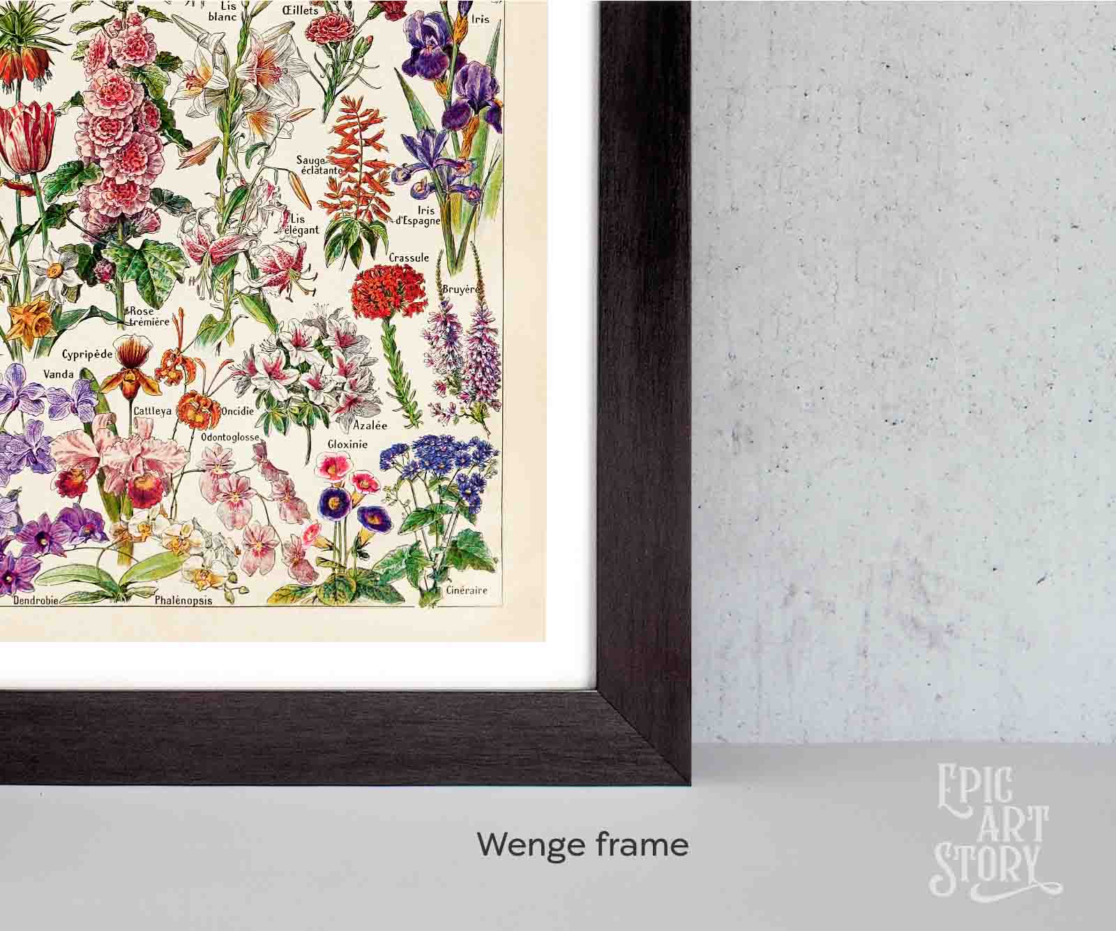 Fleurs – Vintage Botanical Art Print by Adolphe Millot - Framed Print - Image 7