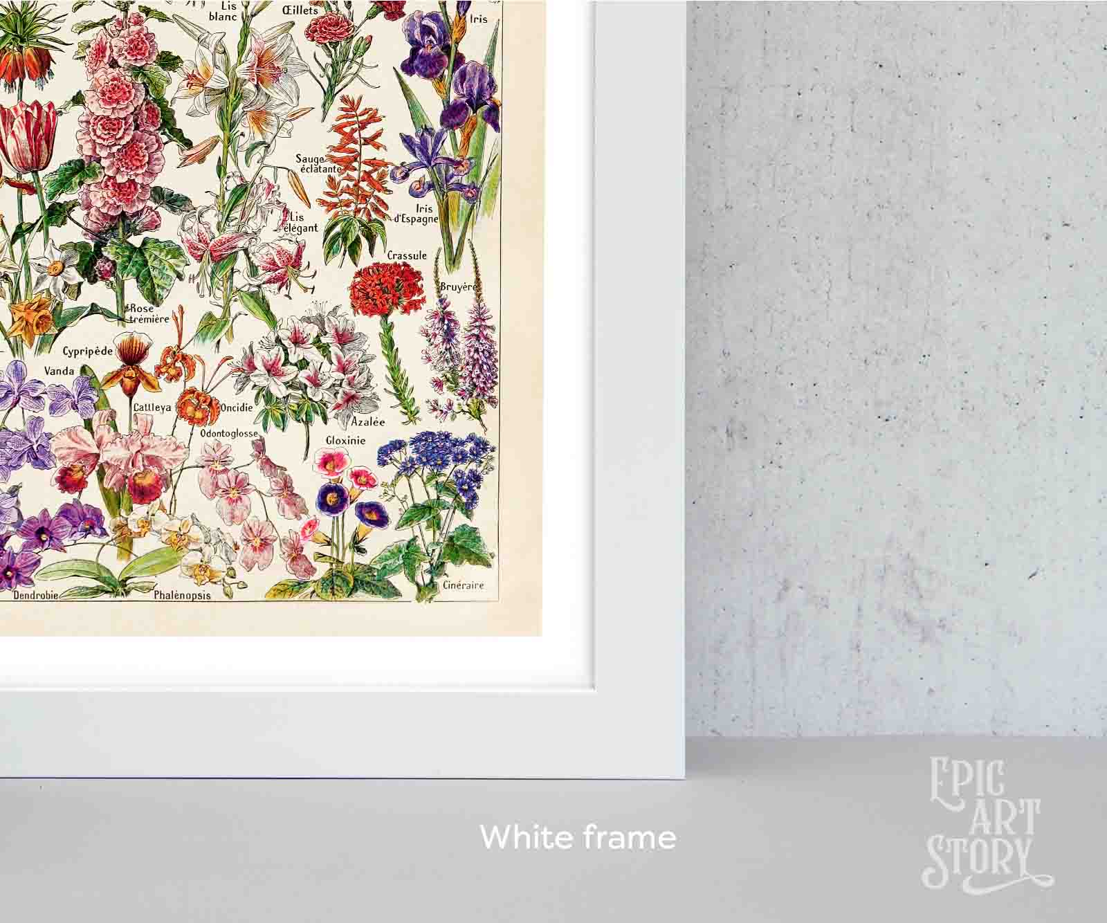 Fleurs – Vintage Botanical Art Print by Adolphe Millot - Framed Print - Image 6