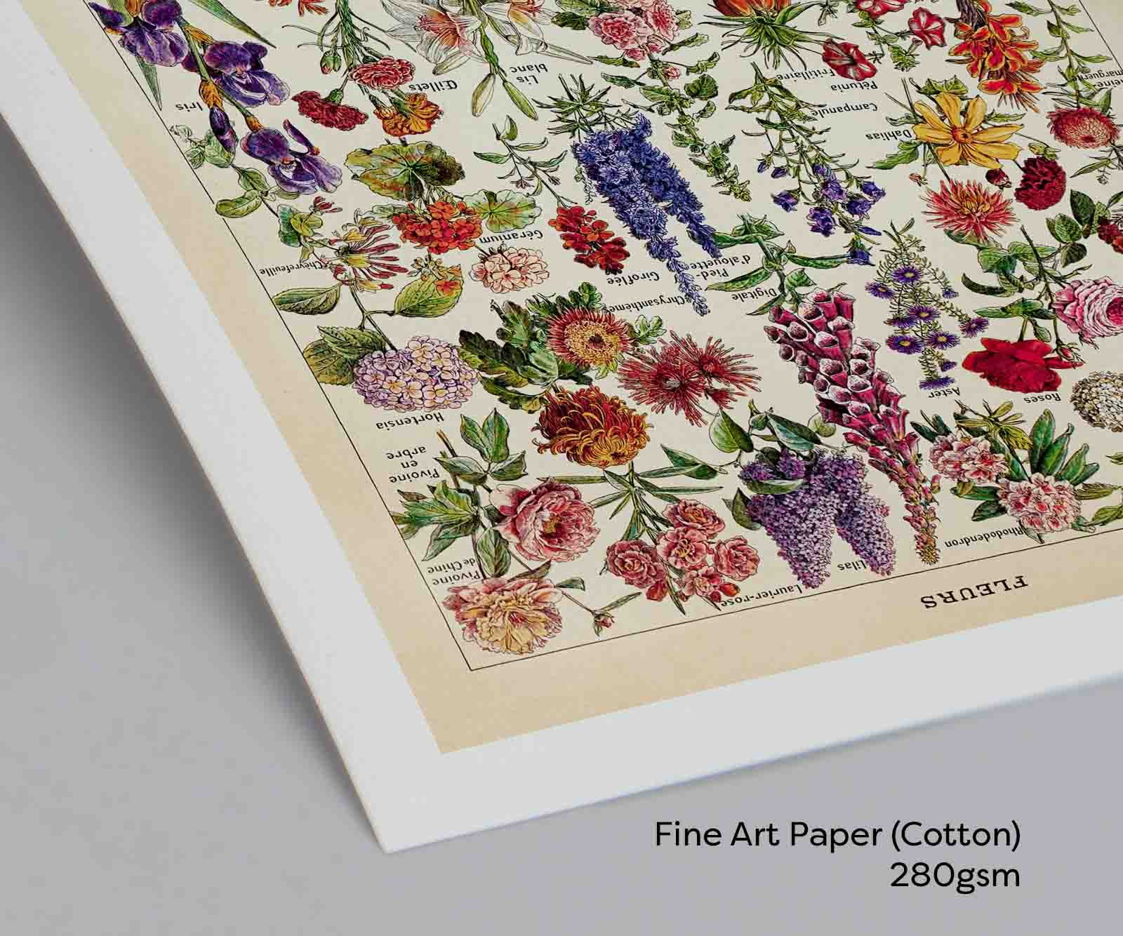 Fleurs – Vintage Botanical Art Print by Adolphe Millot - Framed Print - Image 2