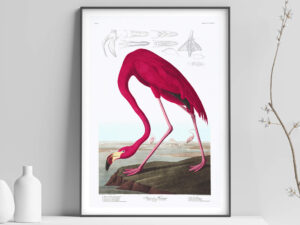 Flamingo Print