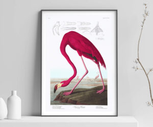 Flamingo Print