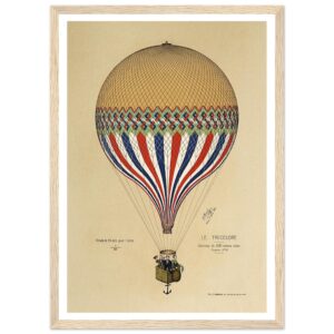 Premium Matte Paper Wooden Framed Poster A3 (29.7 x 42 cm)