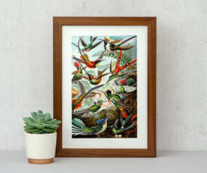 Handcrafted Walnut Picture Frame with Mount – Glass or Acrylic (A4, A3, A2 & Inch Sizes)