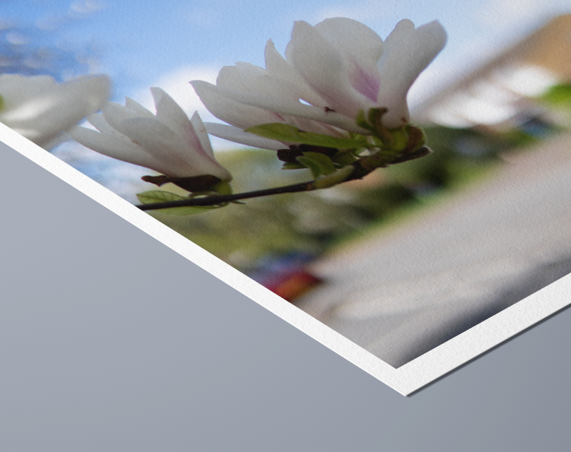 Hahnemühle German Etching paper closeup