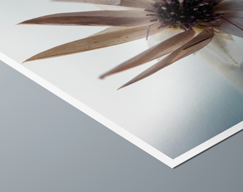 Hahnemühle FineArt Pearl paper closeup